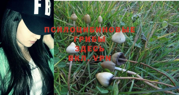 мдпв Осташков